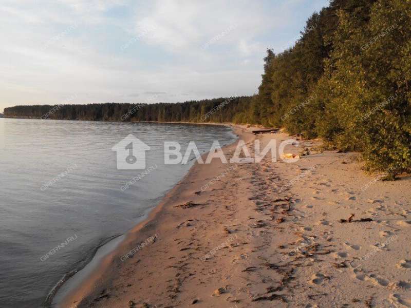 земельный участок 14 100 соток деревня Рябинки